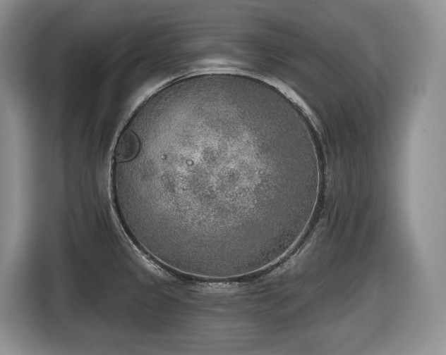 X0000116651333200912141248