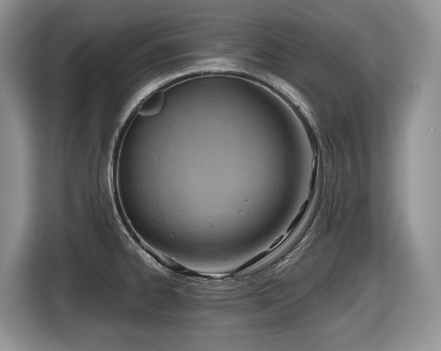 X0000116651334200912141248