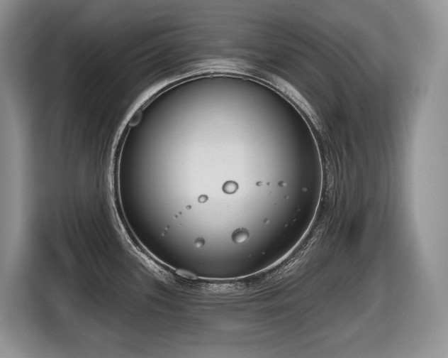 X0000116651339200912141248