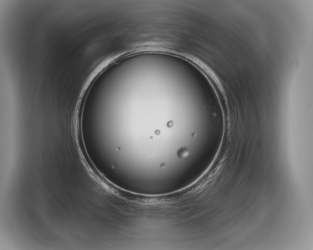 X0000116651341200912141248