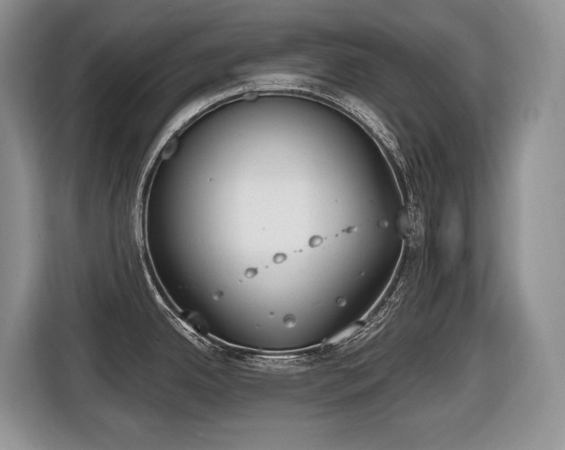 X0000116651342200912141248