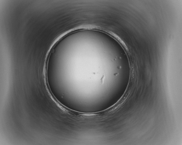 X0000116651343200912141248
