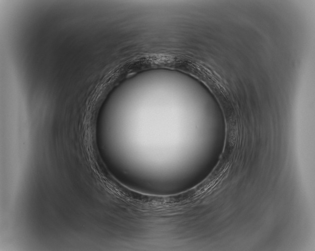X0000116651345200912141247