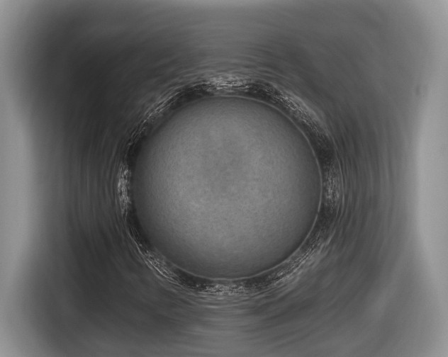 X0000116651346200912141247
