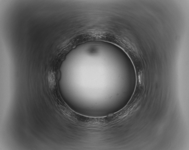 X0000116651347200912141247