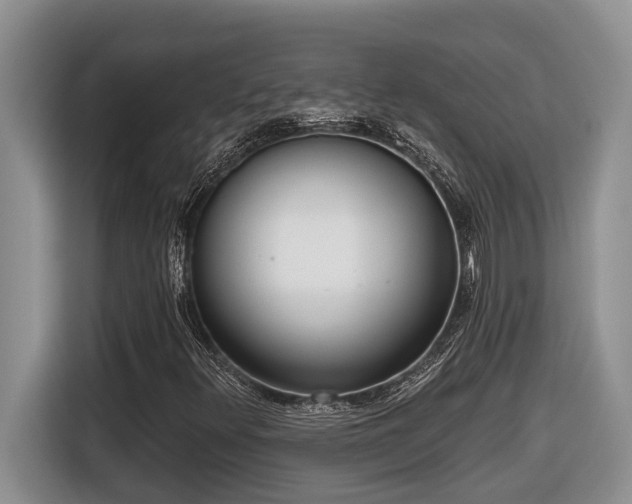 X0000116651348200912141247