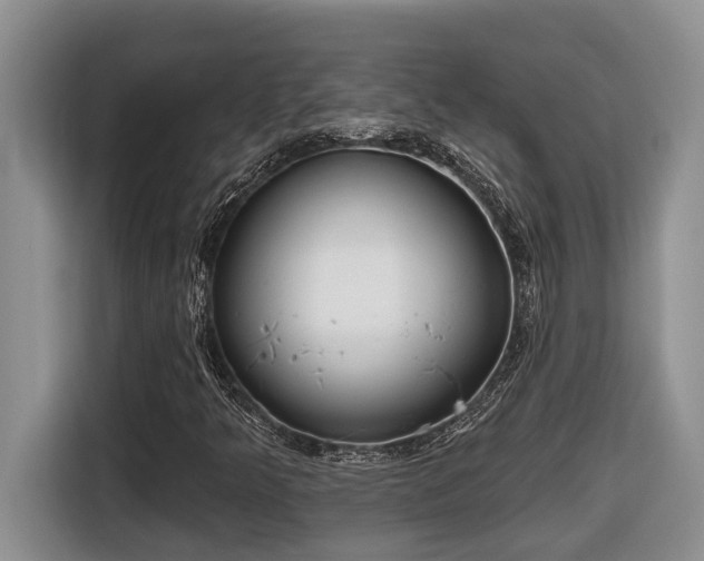 X0000116651349200912141247