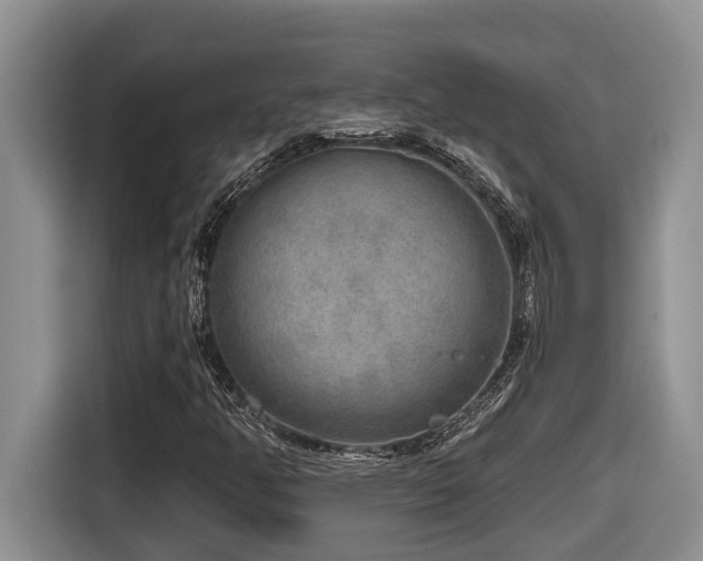X0000116651350200912141247
