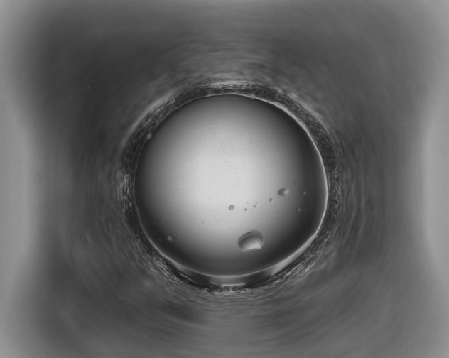 X0000116651351200912141247