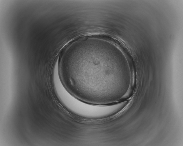 X0000116651353200912141247