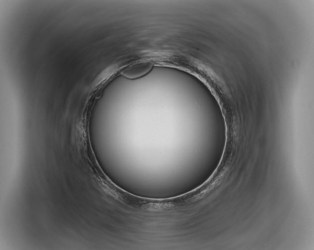 X0000116651354200912141247