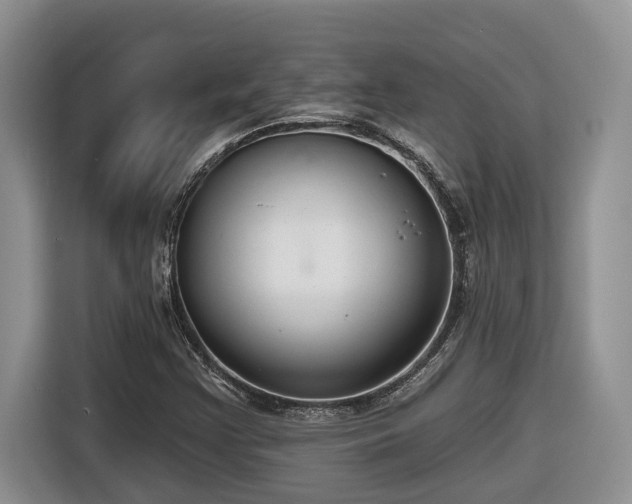 X0000116651355200912141247