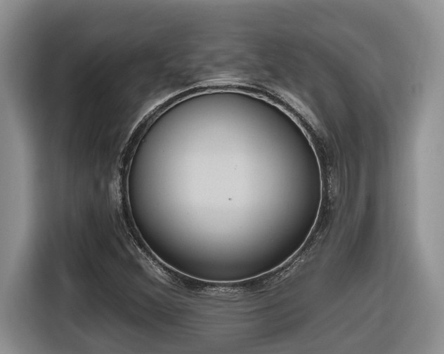 X0000116651356200912141247