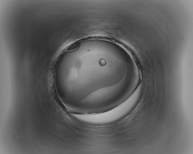 X0000116651359200912141247