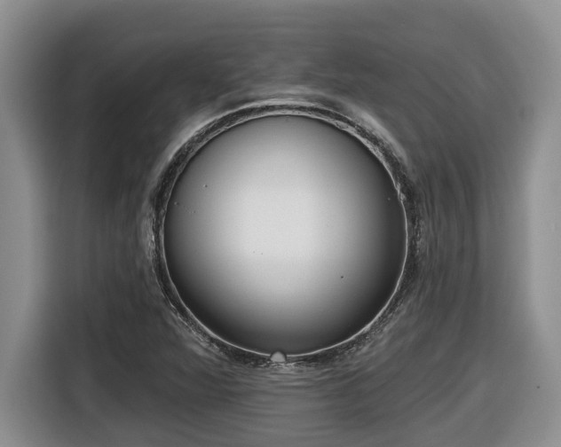 X0000116651360200912141247