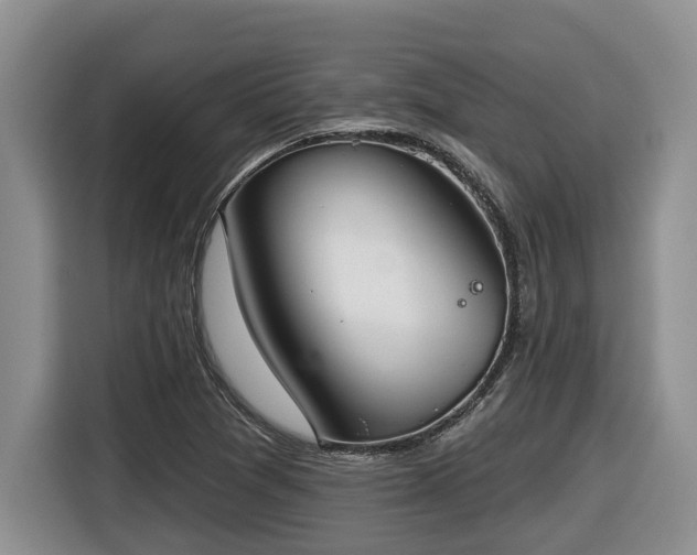 X0000116651361200912141247