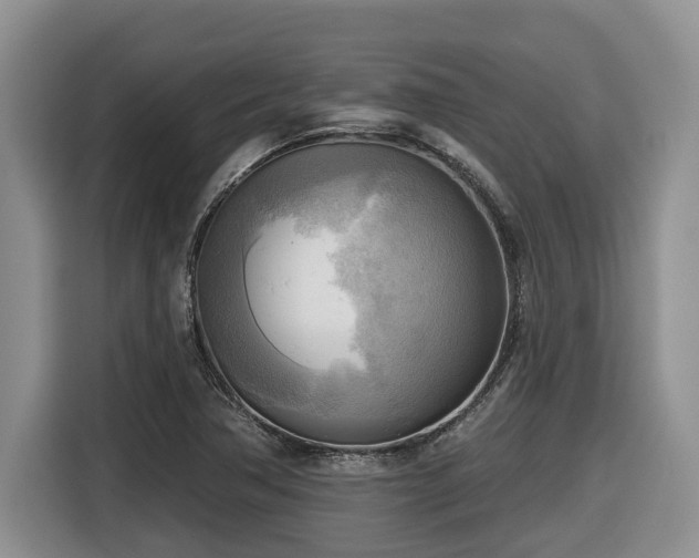 X0000116651362200912141247