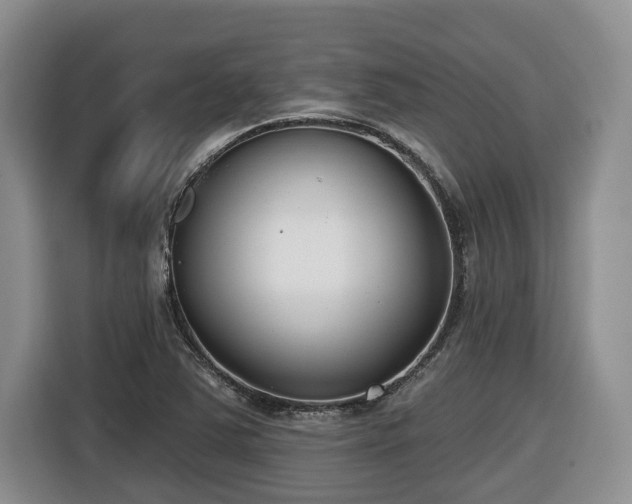 X0000116651363200912141247