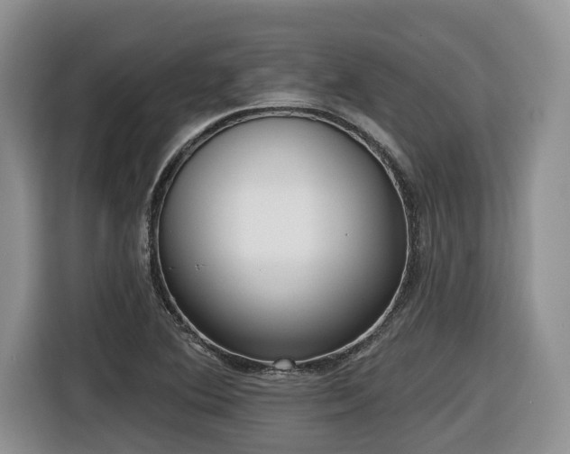 X0000116651364200912141247