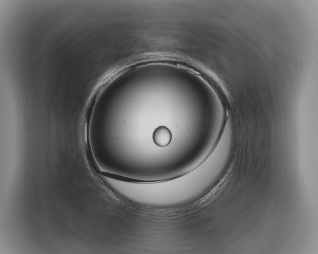X0000116651365200912141247