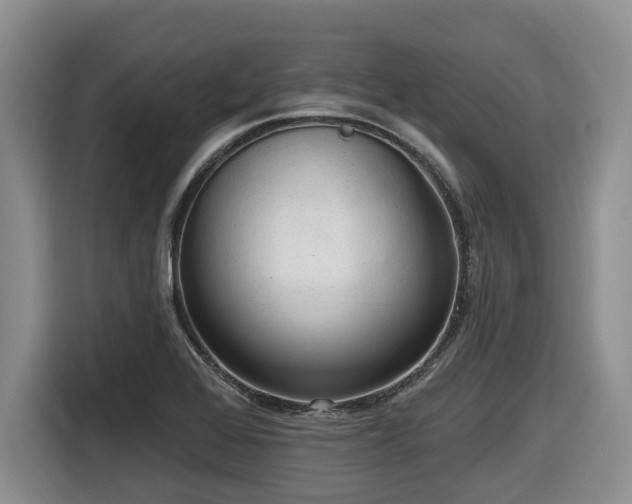 X0000116651368200912141247