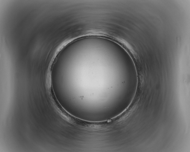 X0000116651371200912141247