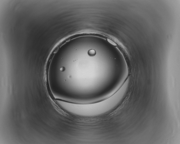 X0000116651372200912141247