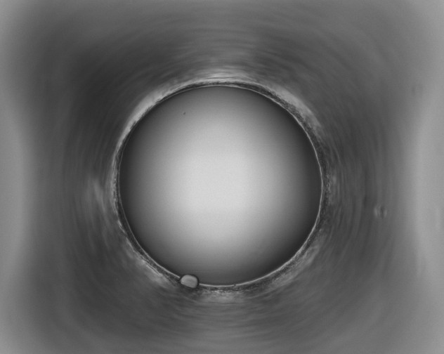 X0000116651374200912141247