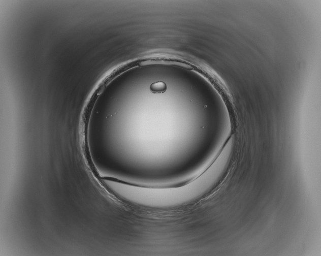 X0000116651376200912141247