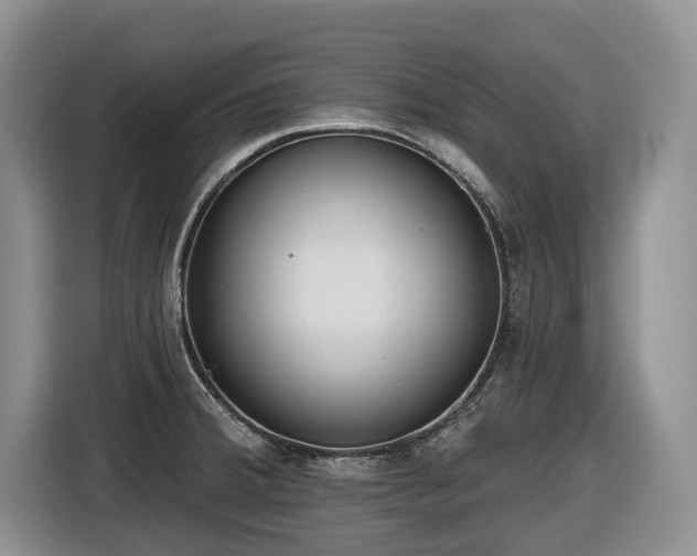 X0000116651380200912141247