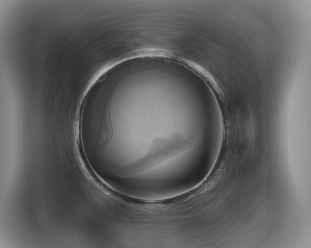 X0000116651383200912141247