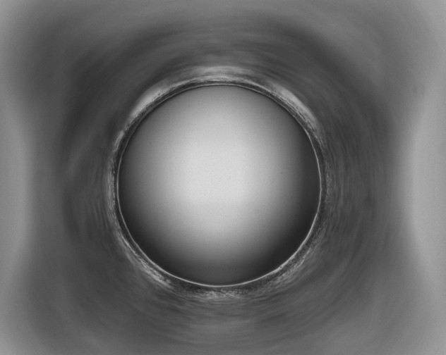 X0000116651384200912141247