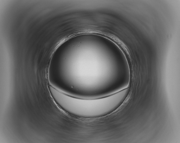 X0000116651385200912141247