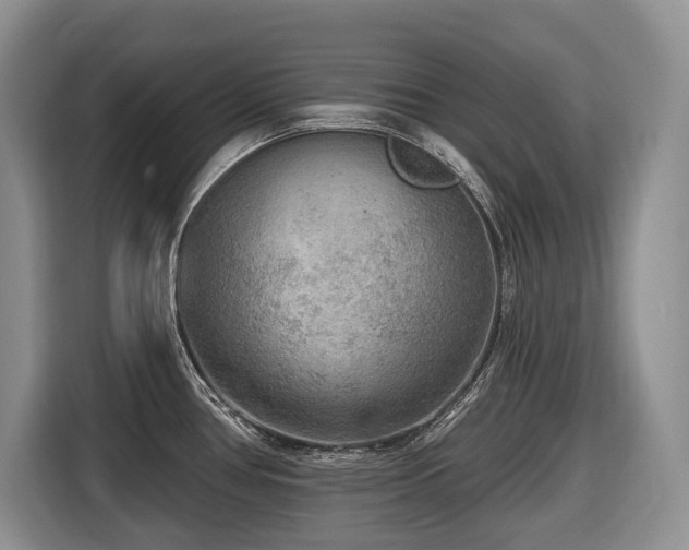 X0000116651386200912141247