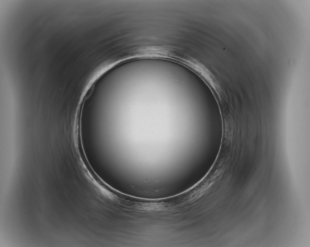 X0000116651387200912141247