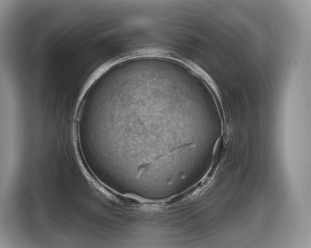 X0000116651389200912141247