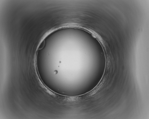 X0000116651390200912141246