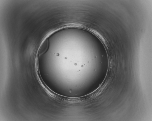 X0000116651391200912141246