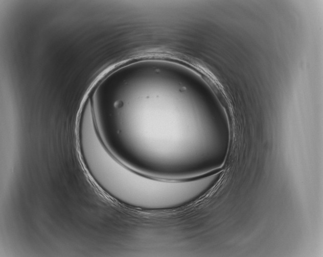 X0000116651392200912141246