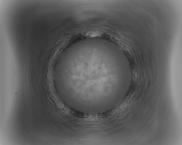 X0000116651393200912141246