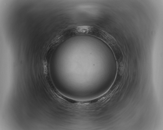 X0000116651394200912141246