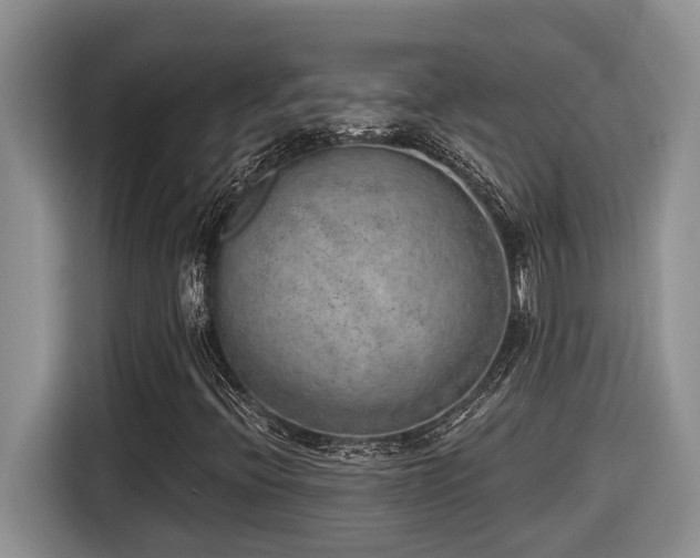 X0000116651396200912141246
