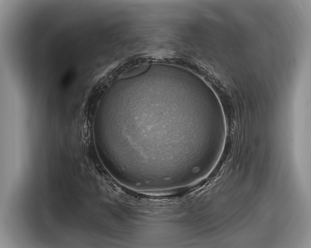 X0000116651398200912141246