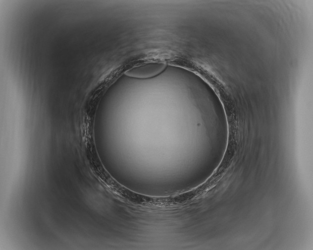 X0000116651399200912141246