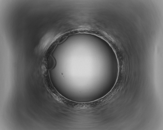 X0000116651400200912141246