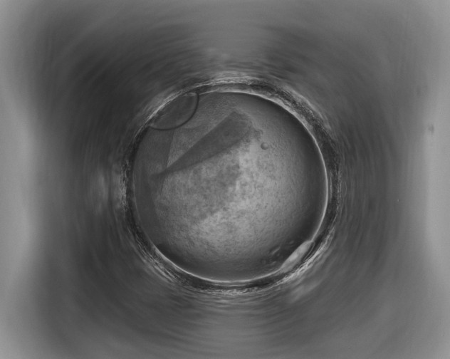 X0000116651401200912141246