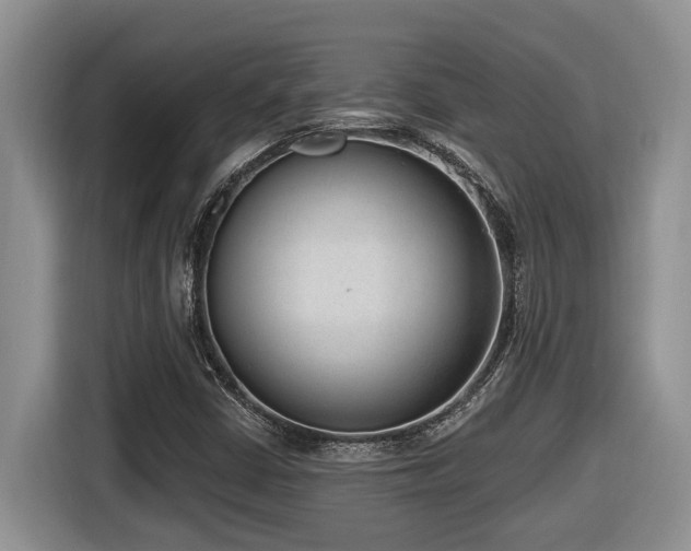 X0000116651402200912141246