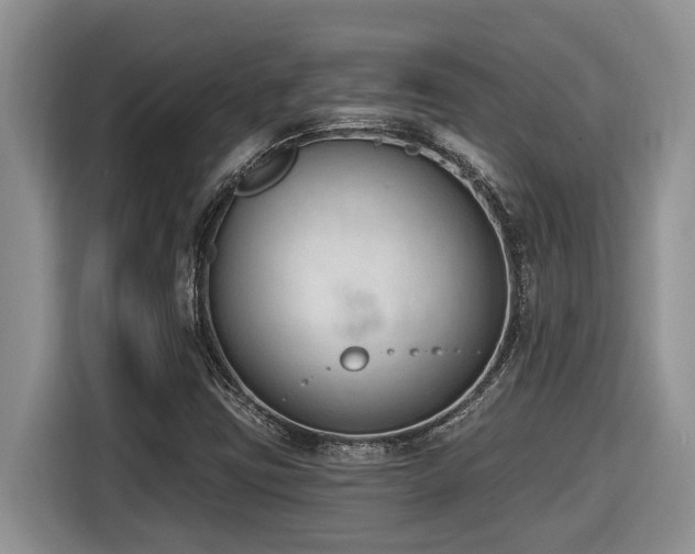 X0000116651403200912141246