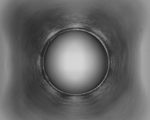 X0000116651404200912141246