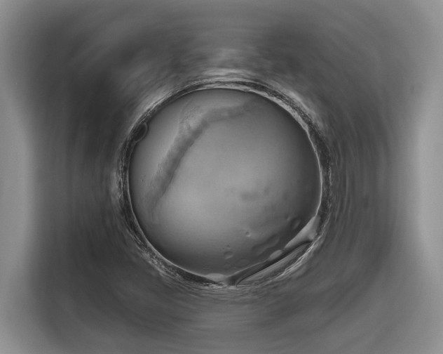 X0000116651405200912141246